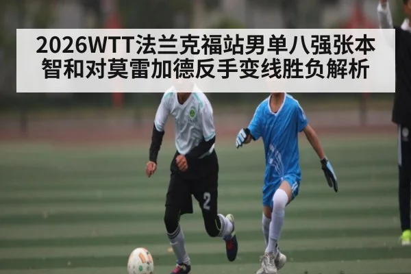2026WTT法兰克福站男单八强张本智和对莫雷加德反手变线胜负解析